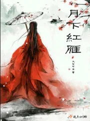 《月下红雁》封面