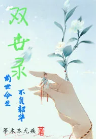 《双世录》封面