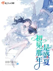 《初见那年是盛夏》封面