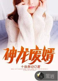 《神龙废婿》封面