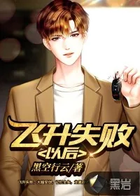 《飞升失败以后》封面