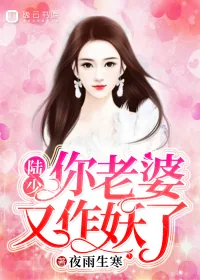 《陆少，你老婆又作妖了！》封面