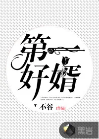 《第一好婿》封面