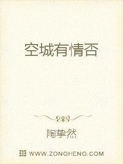 《空城有情否》封面