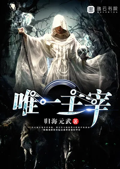 《唯一主宰》封面