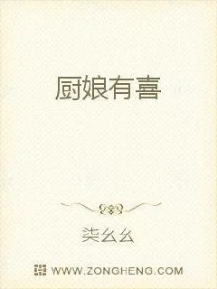 《厨娘有喜》封面