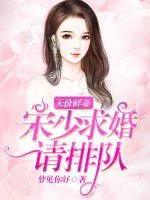《天价鲜妻：宋少求婚请排队》封面