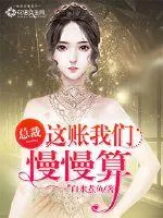 《总裁，这账我们慢慢算》封面