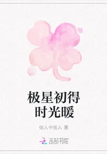 《极星初得时光暖》封面