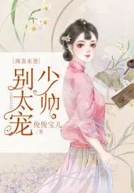 《辣妻来袭：少帅别太宠》封面