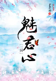 《穿越三国魅君心》封面