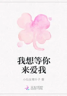 《我想等你来爱我》封面