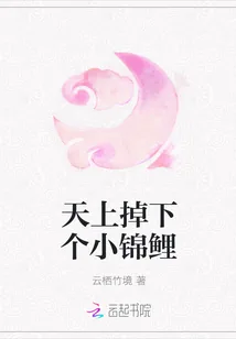 《天上掉下个小锦鲤》封面