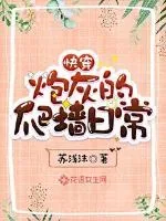 《快穿：炮灰的爬墙日常》封面