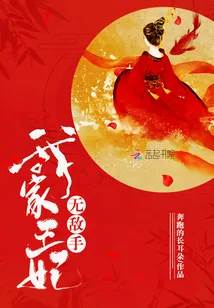 《我家王妃无敌手》小说封面