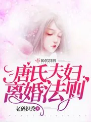 《唐氏夫妇离婚法则》封面