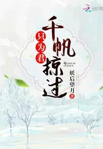 《千帆掠过只为君》封面