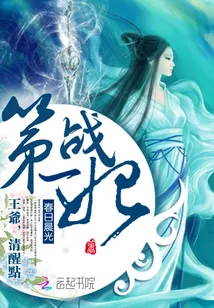《第一战妃：王爷清醒点》封面