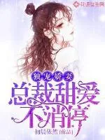 《独宠娇妻：总裁甜爱不消停》封面