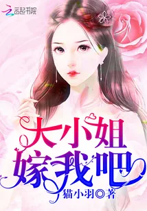 《大小姐嫁我吧》封面