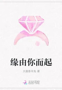 《缘由你而起》封面