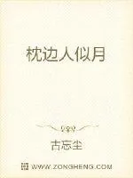 《枕边人似月》封面