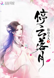 《停云落月》封面