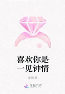《喜欢你是一见钟情》封面