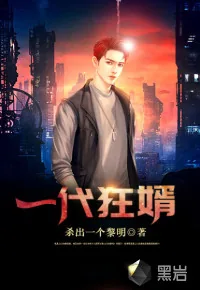 《一代狂婿》封面
