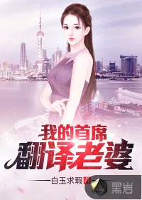 《我的首席翻译老婆》封面