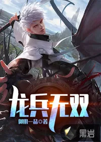 《龙兵无双》封面