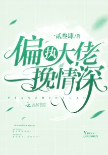 《偏执大佬一挽情深》封面