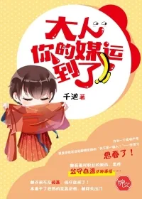 《大人，你的媒运到了！》封面