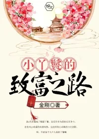 《小丫鬟的致富之路》封面