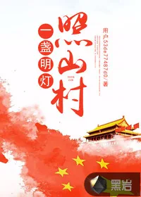 《一盏明灯照山村》封面