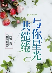 《与你星光共缱绻》封面