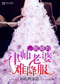 《一纸婚约：律师老婆难降服》封面