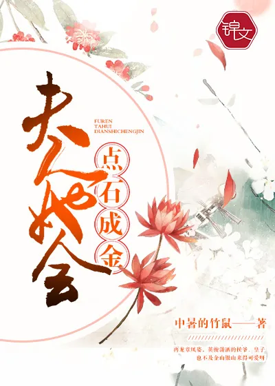 《夫人她会点石成金》封面