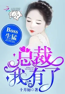《你是我的万有引力》封面