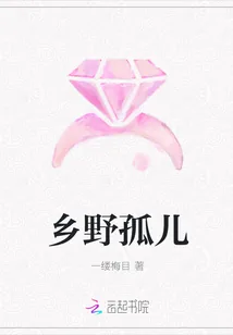 《乡野孤儿》封面