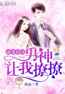 《盛宠情深：男神让我撩撩！》封面