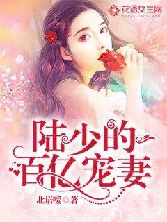 《陆少的百亿宠妻》小说封面