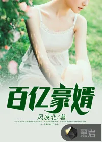 《百亿豪婿》封面
