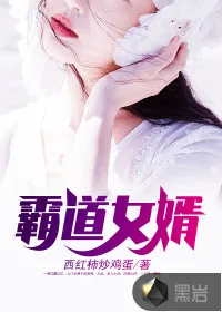 《霸道女婿》封面