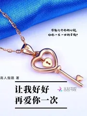 《让我好好再爱你一次》封面