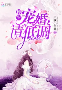 《傅少宠婚请低调》封面