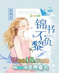 《锦书不负黎》小说封面
