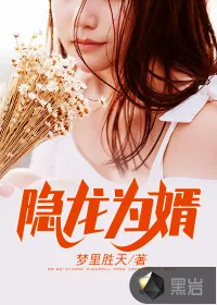 《隐龙为婿》小说封面