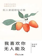 《我喜欢你无人能及》封面