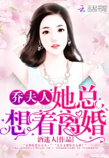 《乔夫人她总想着离婚》封面